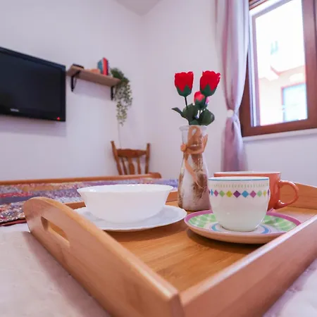 Spider 公寓 希贝尼克