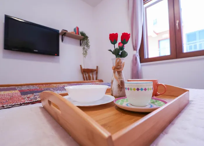 Spider 公寓 希贝尼克