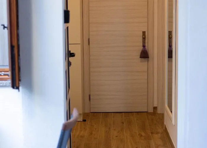 Spider * 시베니크